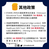於未來三年向大屠殺教育信託基金（Holocaust Educational Trust）等組織提供 700 萬英鎊，以幫助解決學校和大學的反猶太主義問題  為倫敦帝國學院（Imperial Collge London）和帝國學院醫療保健服務信託基金（Imperial College Healthcare NHS Trust）提供 500 萬英鎊資金，以設立弗萊明中心（Fleming Centre）來進行與醫學革新相關的研究工作  提供約 300 萬英鎊予在北愛爾蘭進行的「解決準軍事主義計劃」（Tackling Paramilitarism Programme ）