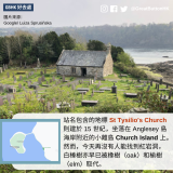 GBHK好去處 - 66 站名包含的地標 St Tysilio's Church 則建於 15 世紀，坐落在 Anglesey 島海岸附近的小離島 Church Island 上。 然而，今天再沒有人能找到紅岩洞， 白榛樹亦早已被橡樹（oak）和榆樹（elm）取代。