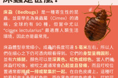 20231015_GBHK生活錦囊_床蝨（Bedbugs）是一種寄生性的昆蟲，並是學名為臭蟲屬（Cimex）的通稱，全球約有 90 種，但當中尤以 “cimex lectularius” 最適應人類生活環境，因此亦是最常見。床蝨體型非常細小，成蟲的長度可達 5 毫米左右，所以人們在細心之下仍可憑肉眼看得到。它們的身型呈橢圓形，並有六條腿，顏色可以是深黃色、紅色或棕色。當人們被床蝨叮咬後，被咬之處通常會凸起並且發癢，而且叮咬位置通常都排成一排或聚集於一起。在白色皮膚上，這種叮咬看起來大多是紅色的，而在黑色或棕色皮膚上，叮咬可能是紫色的，因此更難看到。