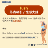 lush 外表吸引 / 性感火辣 在英式的讚美中，我們可用 "lush" 這個字形容一個人的外表性感吸引。例句：  How did you become lush just over the summer?  (你怎麼經過一個夏天就變得漂亮火辣了？)