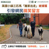 英國小鎮三匹小馬「離家出走」被捕獲 引發網民搞笑留言