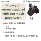 Hope you weren’t saddled with too much paperwork saddle 這個字本身有兩個意思   馬鞍  給人負上重任  所以句子原意是：  「希望你（警隊）不需要被負上太多文書的責任」