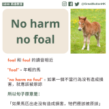 No harm no foal foal 和 foul 的讀音相近  "foal" = 年輕的馬  "no harm no foul" = 如果一個不當行為沒有造成損害，就應該被原諒   所以句子原意是：  「如果馬匹出走沒有造成損害，牠們應該被原諒」