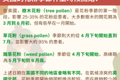 在英國，樹木花粉（tree pollen）是花粉季節的第一階段，影響 25-35% 的花粉症患者。大多數樹木的開花期為 3 月到 6 月初，但有些早在一月開始。  草花粉（grass pollen）季節則大約從 4 月下旬開始直到 7 月，並影響大約 95% 的患者。  雜草花粉（weed pollen）季節從 4 月下旬開始，高峰期為 5 月下旬到 9 月底。  上述日期在英國不同的地區會略有不同。在氣候涼爽的英國北部，花粉季節開始時間較晚亦較短。而在植物較少的地方，例如城市及小鎮，花粉產量將低於農村地區。西部沿海地區有高花粉風險的天數也可能較少。