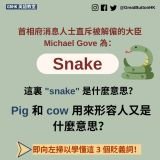 首相府消息人士直斥被解僱的大臣 Michael Gove 為：Snake- 這裏 "snake" 是什麼意思？Pig 和 cow 用來形容人又是什麼意思？