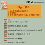 Pig（豬）1. 令人不快且難以相處的人 2. 貪吃的人 3. 警察（舊式侮辱性叫法，現今較少人用）例句 (1) He was an absolute pig to her. 翻譯 他對她的態度簡直是極度惡劣。 例句 (2) You greedy pig! You're not having another slice! 翻譯 你這個貪吃鬼！不要再吃另一件了！ 例句 (3) Watch out for the pigs! 翻譯  小心有警察！（舊式英語）
