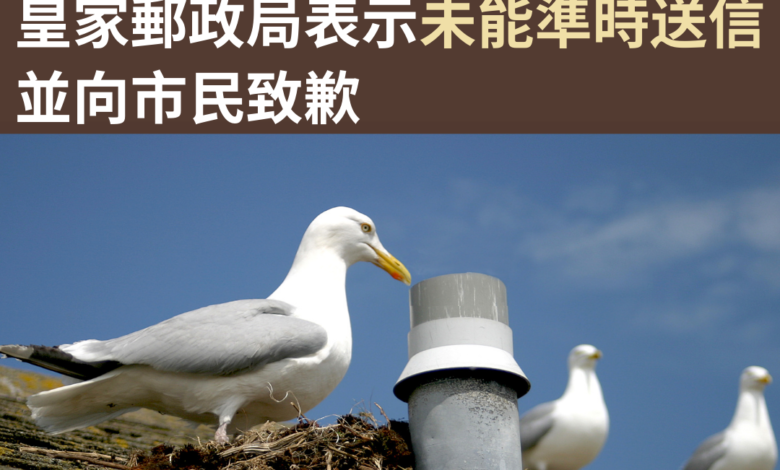 據 BBC 今日（6 月 25 日）報導，英格蘭康和郡（Cornwall）一個小鎮 Liskeard 最近因為有海鷗襲擊郵差，以致皇家郵政局（Royal Mail）未能準時送遞郵件。 事緣於上週四，Royal Mail 向受影響地區的居民發送了一封公開信表示該區的海鷗因為欲保護幼兒而「猛撲向郵差」（"swooping at delivering staff"），並使當局「在安全送件方面遇到了一些困難」（"experiencing some difficulties safely delivering"）。當局又指，雖然這個情況並不理想，但他們一向「將員工的安全放在首位」（"place the highest priority on the safety of our employees"），因此特意向公眾就此所帶來的不便而道歉。當局亦表示他們將每天都會嘗試送信，而市民亦可選擇向當局提供另一個地址以便及時收取信件。 一名居民 Naomi 向 BBC 表示，每年都會有海鷗在她鄰居的屋頂上築巢，歷時 6 星期。她形容每年於這個時候外出都是「頗為致命的」（"sorta deadly"），並指自己的長子每天去上學時都會受到一些海鷗猛撲。另一名居民亦向當地新聞網 Cornwall Live 稱，除了郵差外，這些海鷗也會攻擊地方議會的職員，逼得他們要「奔跑逃命」（"running for their lives"）。 值得留意的是，類似情況已並非第一次。在 2019 年，蘇格蘭西南部地區 Argyll and Bute 的郵局連續數週都因為海鷗連環襲擊郵差而不能完成郵遞工作，其中一名郵差更在逃走時扭傷腳踝。 -------------------- 👉按 #GBHK趣聞 了解更多相關新聞： 25/6/2024 《疑似香港遊客在白金漢宮外「制服扒手」》 16/6/2024 《英國修女 Sister Catherine 受訪：本打算找一個好人又帥氣的男人」但終意識到自己希望完全屬於上主》 -------------------- #GBHK趣聞 #英國趣聞 #英國資訊 #英國新聞 #移民英國 #英國生活 #英國旅遊 #英國旅行 #趣聞 #海鷗 #海鷗男孩 #皇家郵政局 #郵差 #攻擊 #送信 #郵差叔叔 #逃命